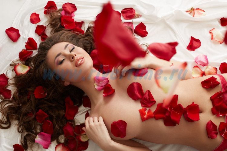 Photo shoot with rose petals on the bed