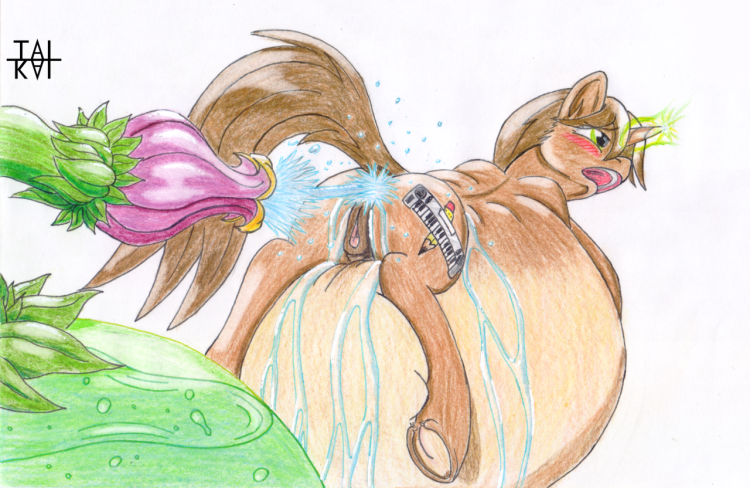 Belly inflation pony anal