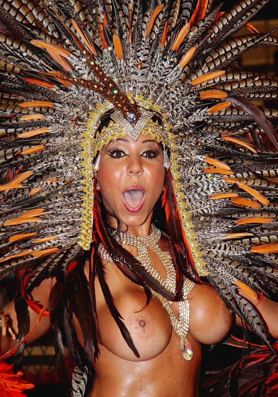 Erotic carnival of Rio (Rio Carnival)