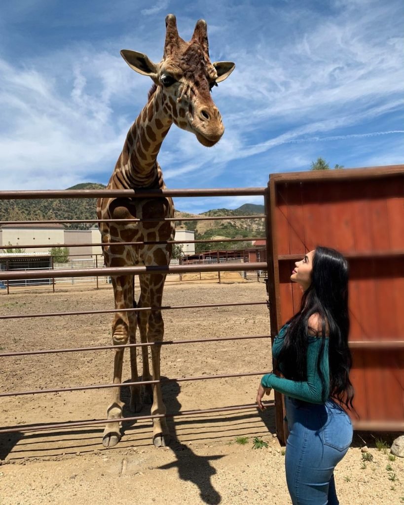 Jailyne OJeda Ochoa