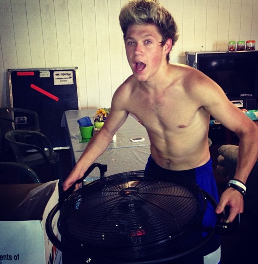 Niall Horan Japan Hotel