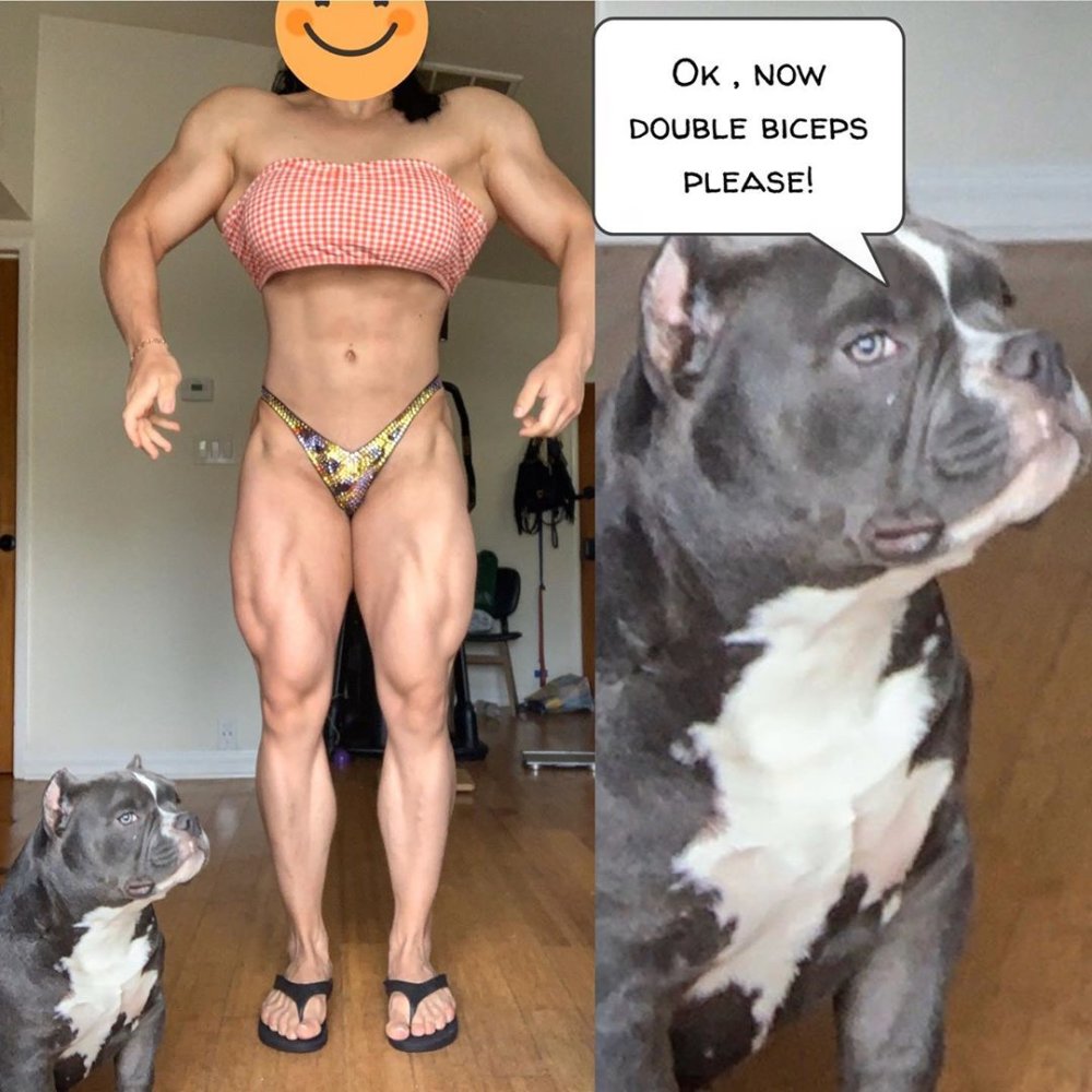 What weighs the most in the pictures