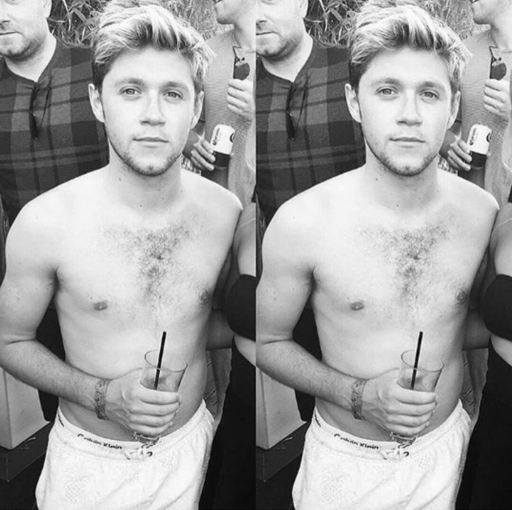 Niall Horan torso