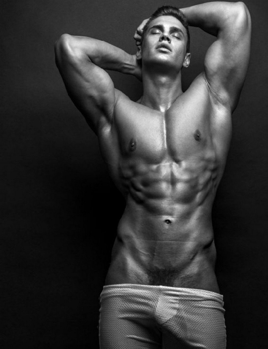 Dmitry Lamin model