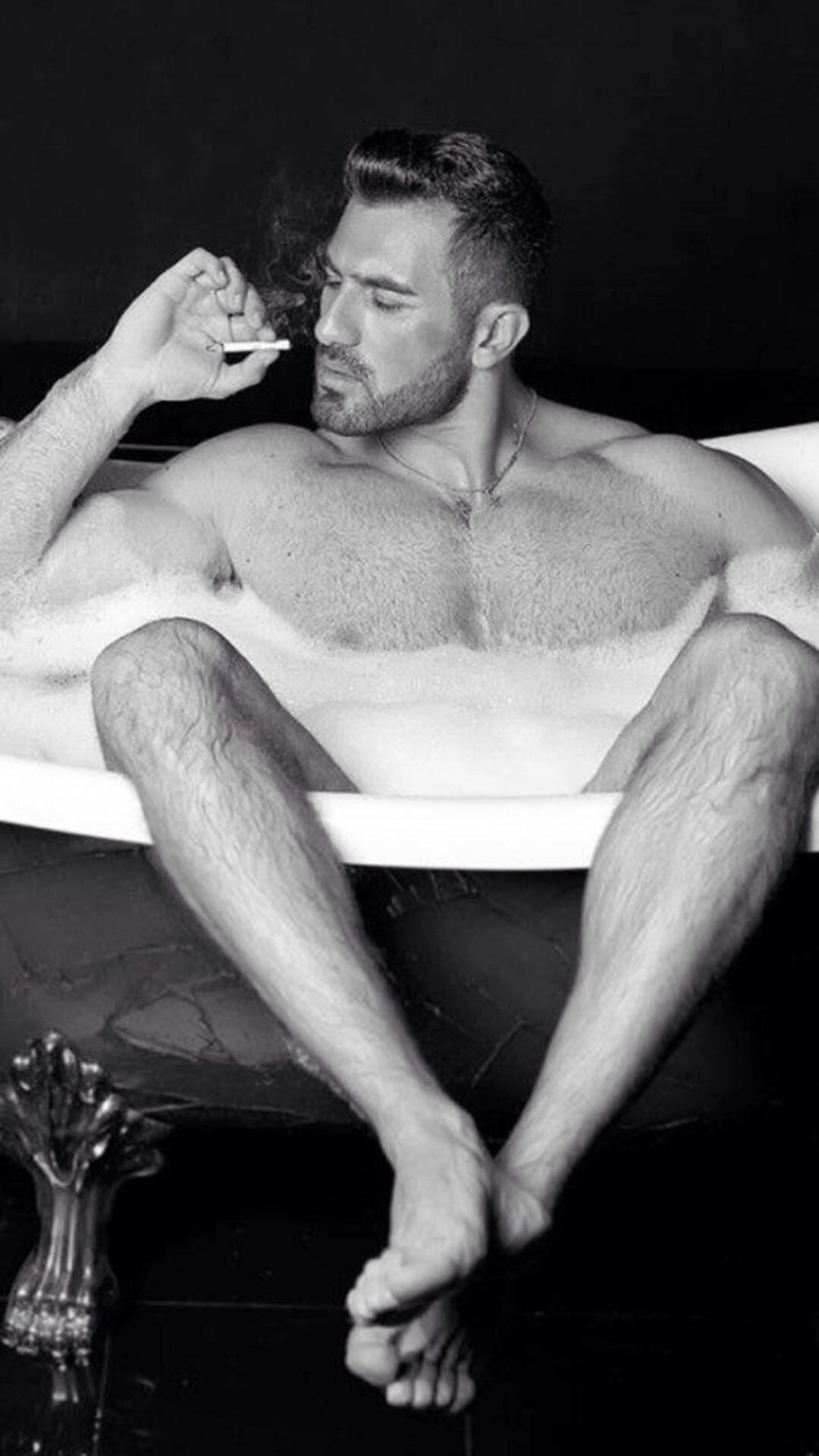 Dmitry Lamin model