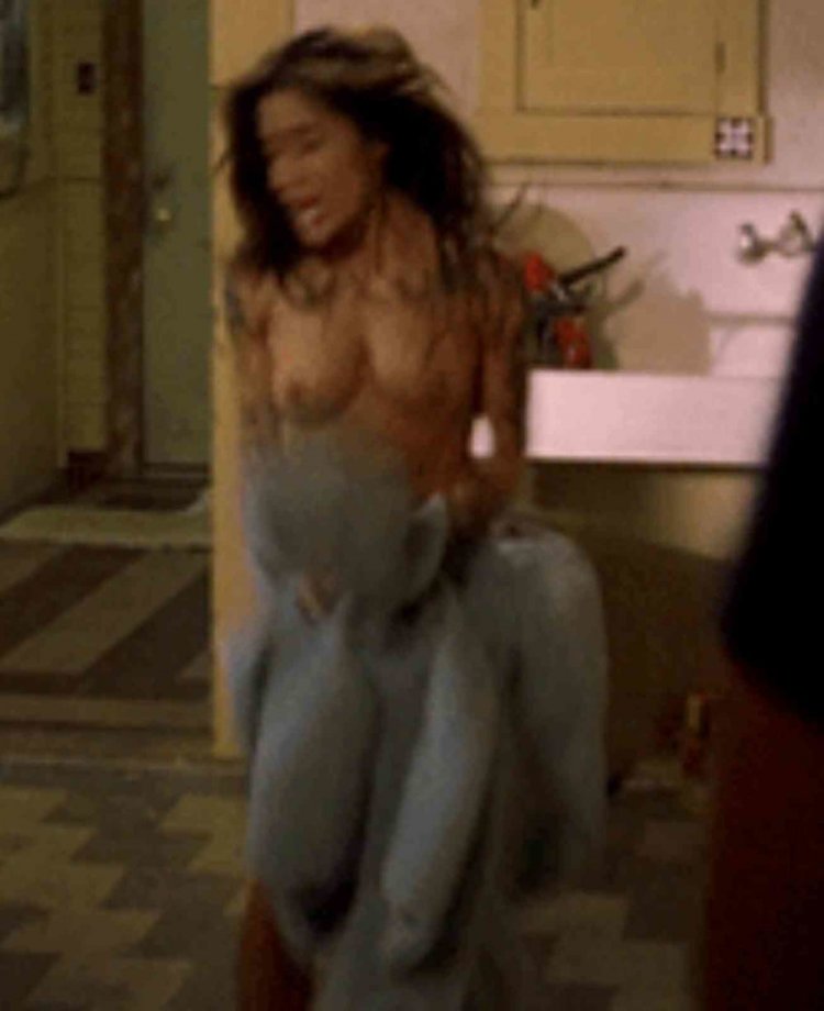 Sarah Shahi hot