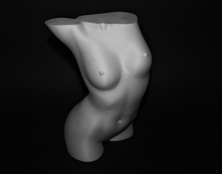 Nude art from human bodies