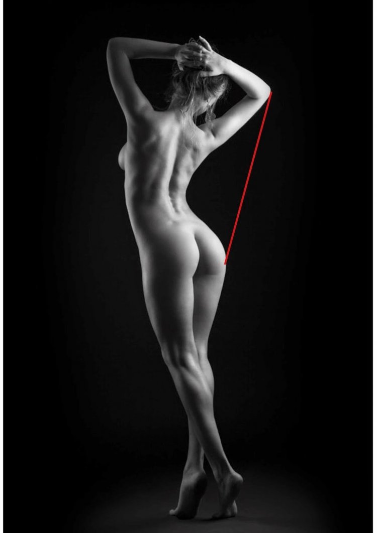 Artistic Nude in full growth