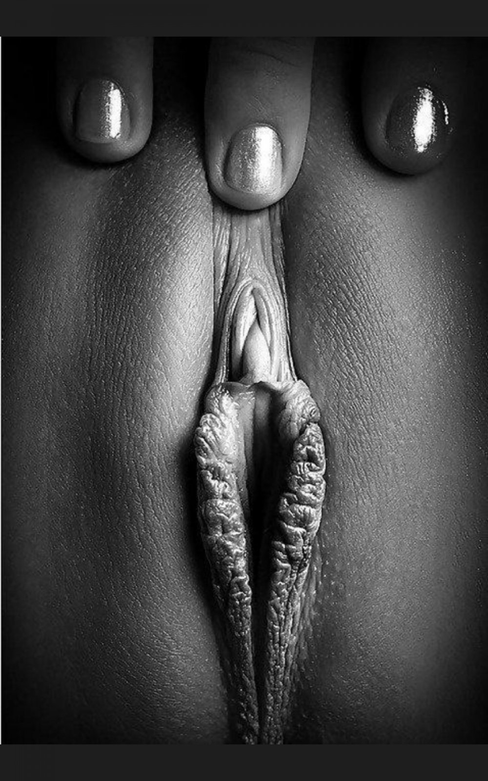 Art Vagina