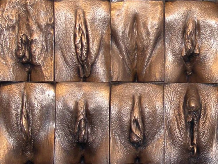 Beautiful revealed vagins