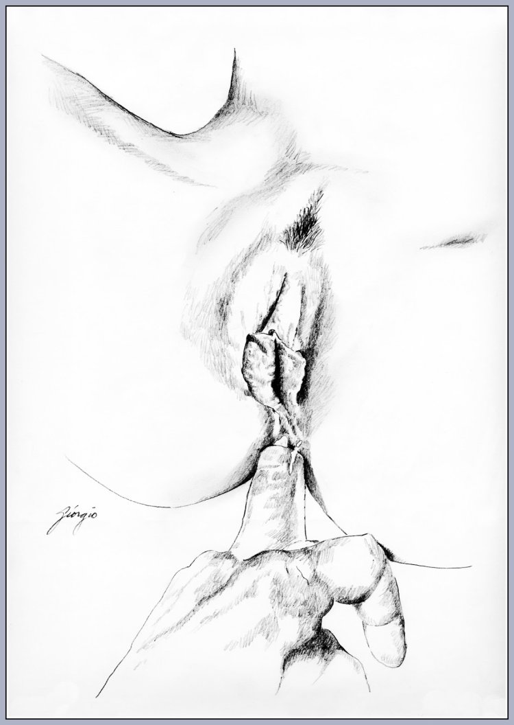 Figure female vagina