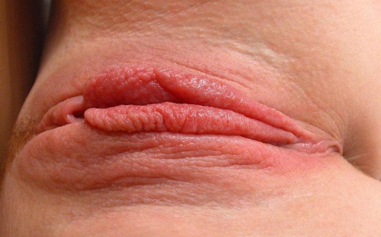 Unusual vagina close-up