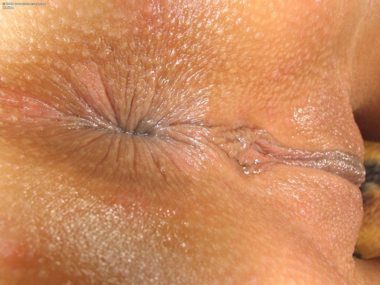 Wet anal close-up