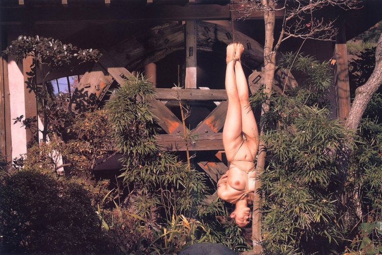 Naked hung on a tree