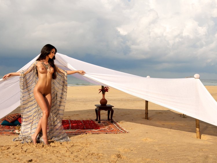 Power Sakhin Playboy