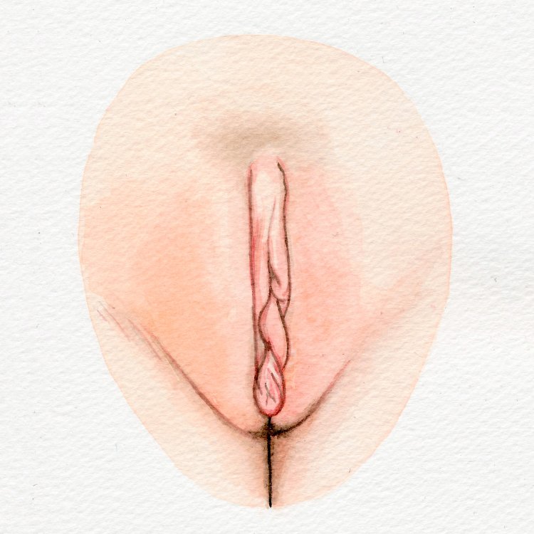 Naked women bottom view