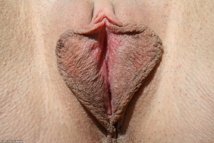 Vagina with big sex lips