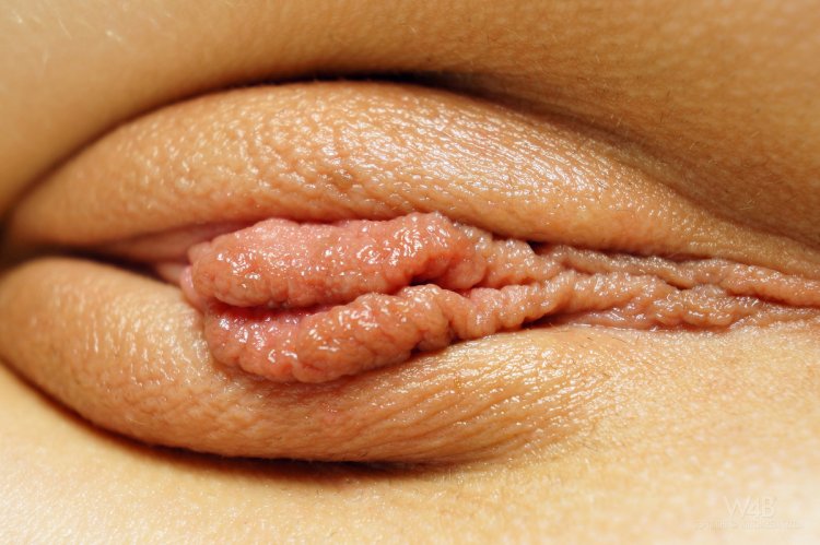 Ladies with big sex lips