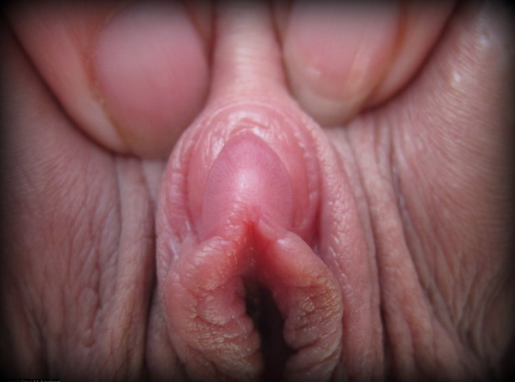 Photo of the clitoris close-up