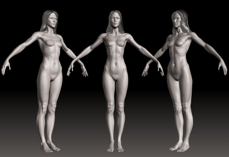 Athletic female body nude