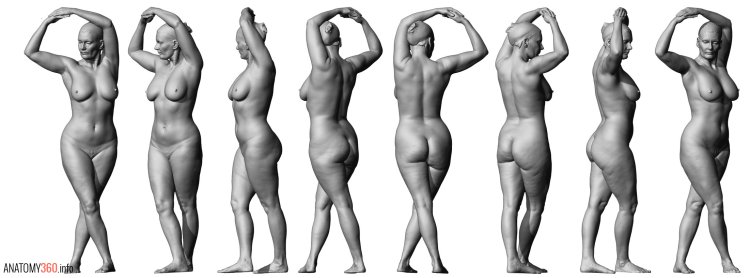 Naked female body anatomy