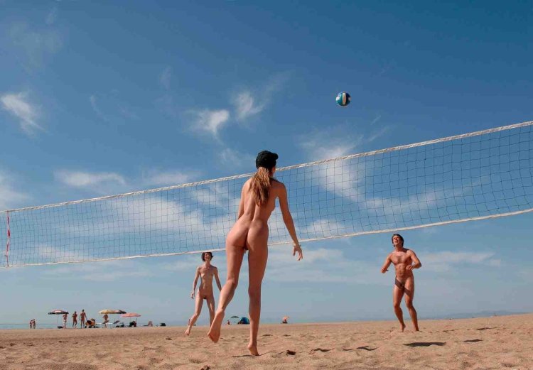 Busty volleyball players