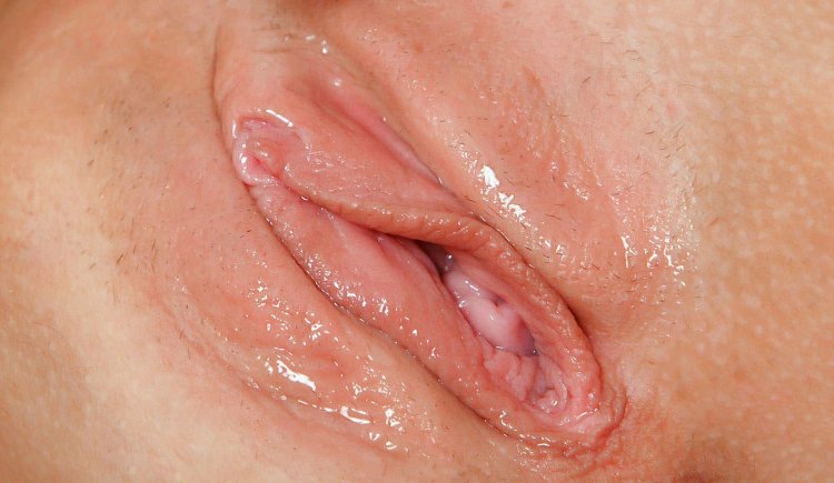 Wet Vagina Close-up