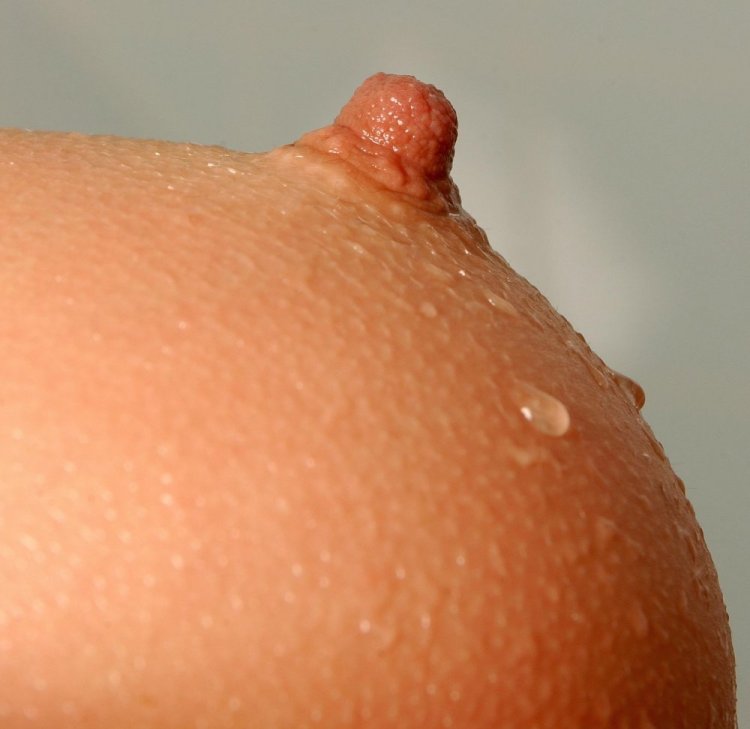 Female nipples close up