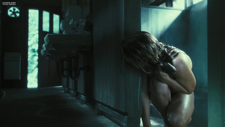 Prison Break Sarah Wayne Callis Sex