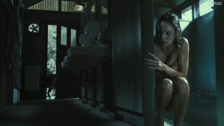 Prison Break Sarah Wayne Callis Sex