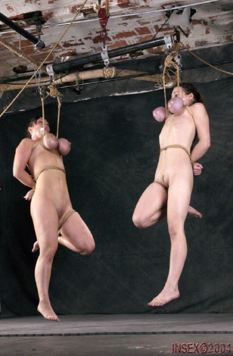 BDSM hung up tree
