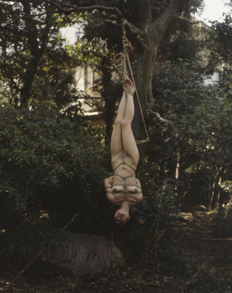 Related Distribution Tits