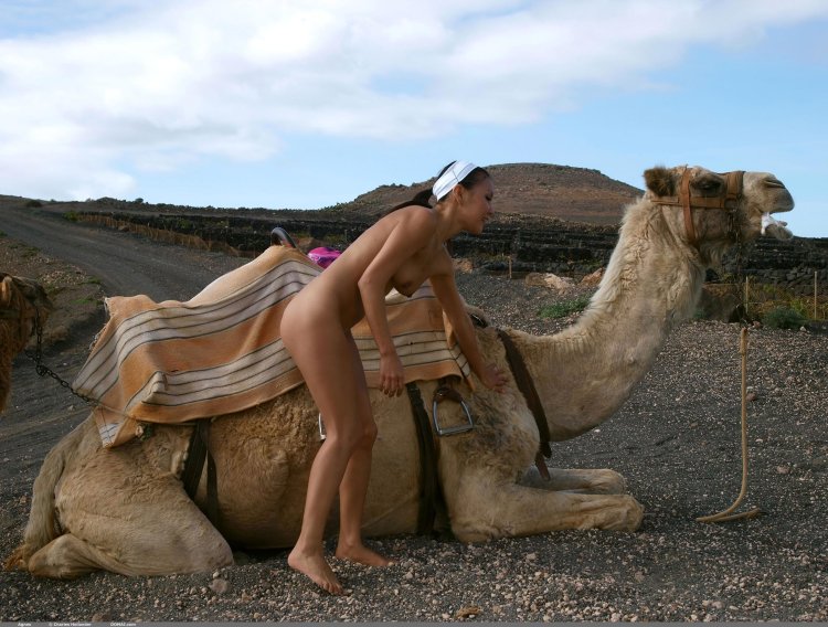 Naked Mongolian women