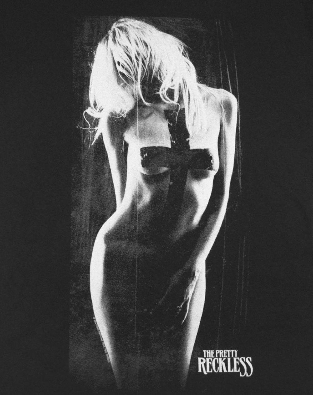 Taylor Momsen naked at a concert