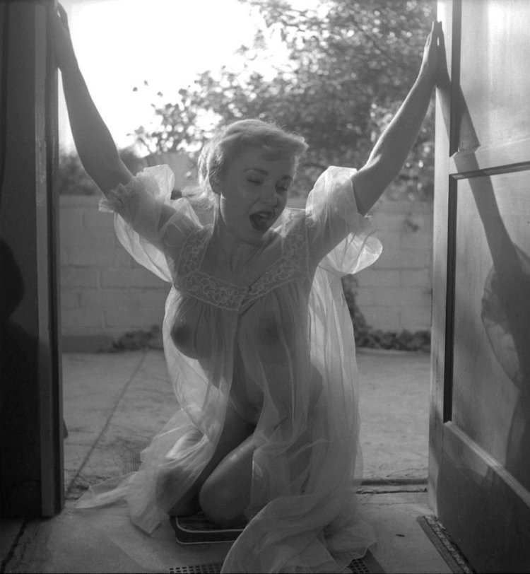 Anita E Erotic Pussy Model