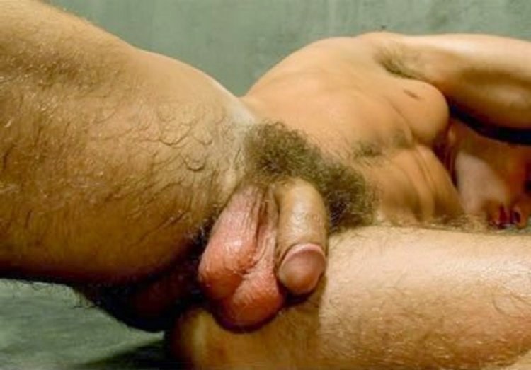 Thick hairy members