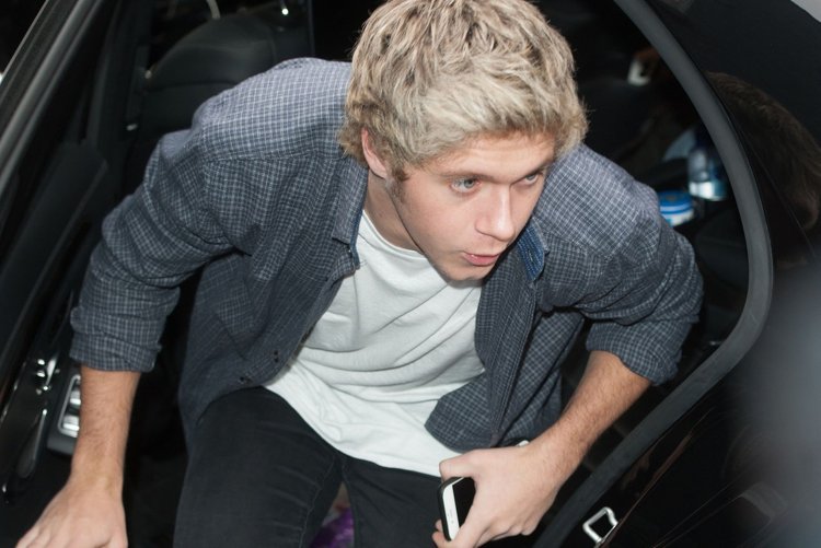 Niall Horan is sexy