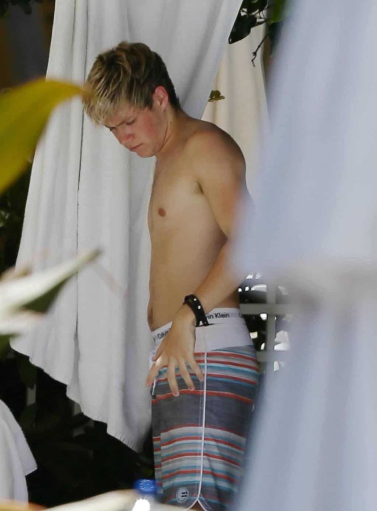 Niall Horan torso
