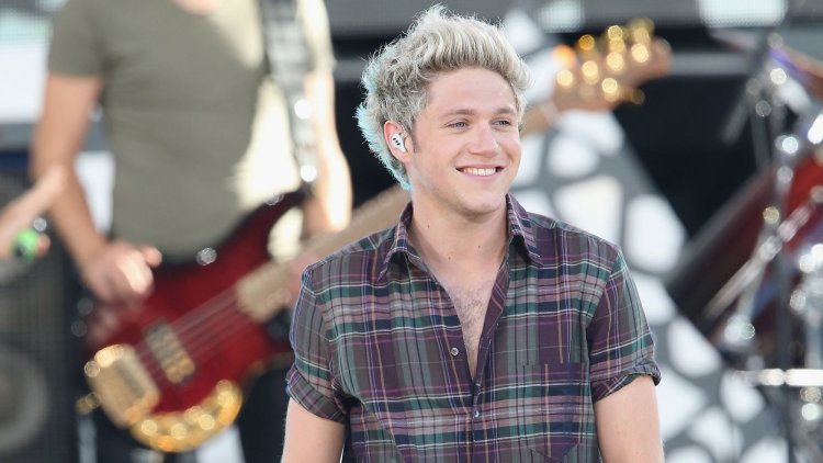 Niall Horan New Years