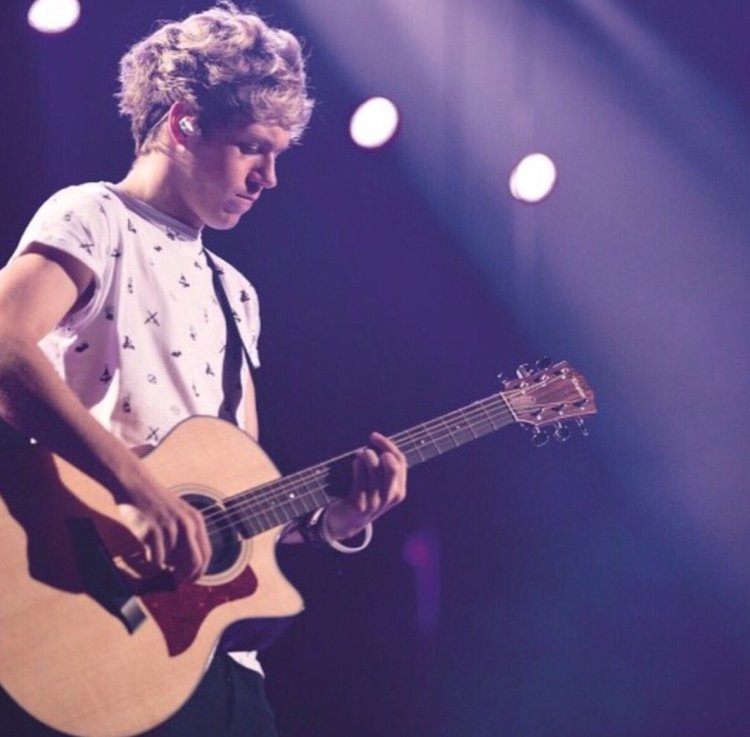 Niall Horan Brunet