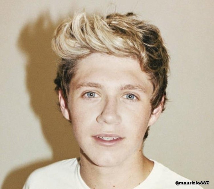 Member of Niall Horan