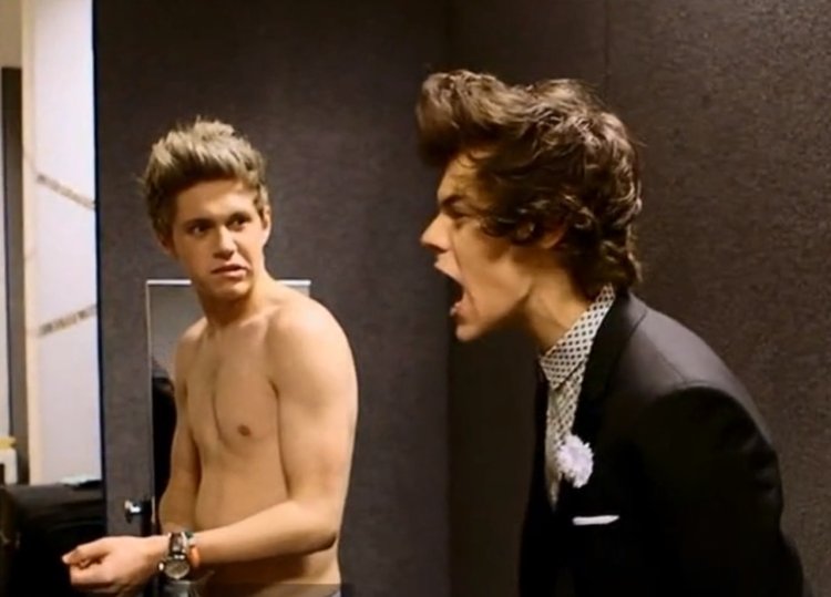 Niall Horan torso