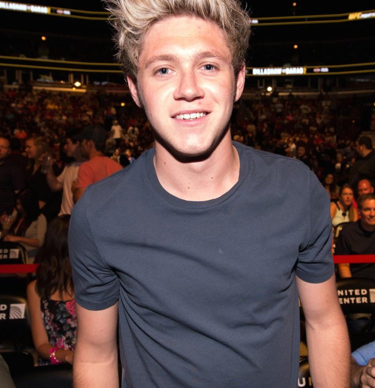 Niall Horan New Year