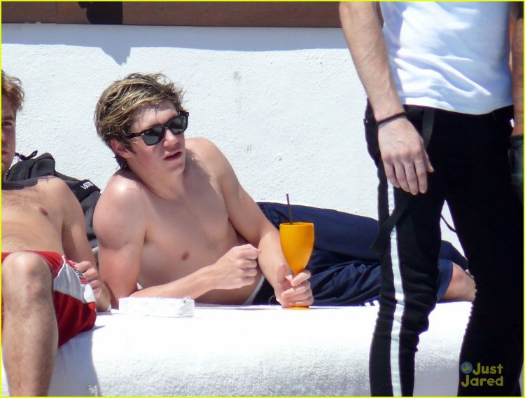 Niall Horan Body