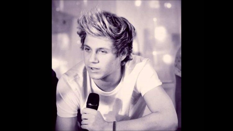 One Direction Nial Horan Torsos