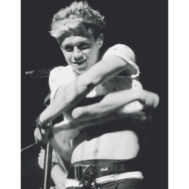 One Direction Nial Horan Torsos