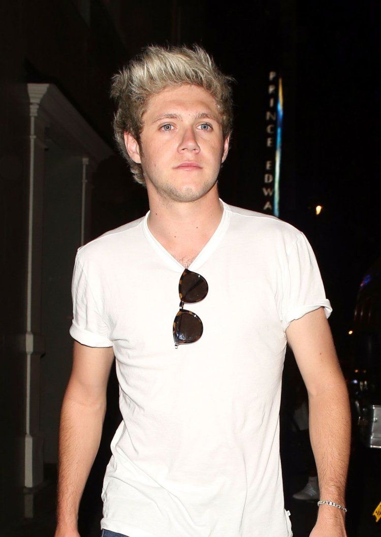 Niall Horan Aesthetics Sad photo shoot