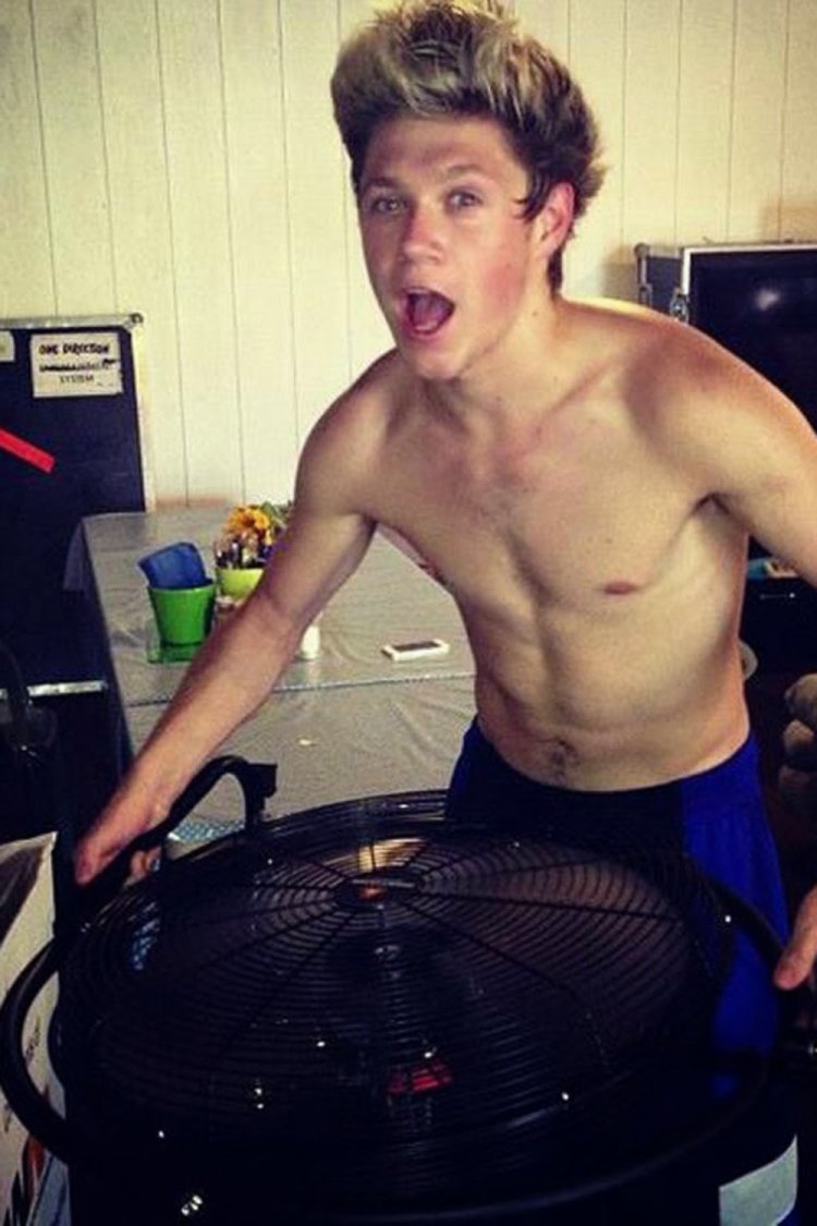 One Direction Nial Horan Torsos