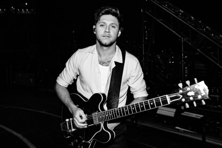 NN-DF383BZPE (inverter)