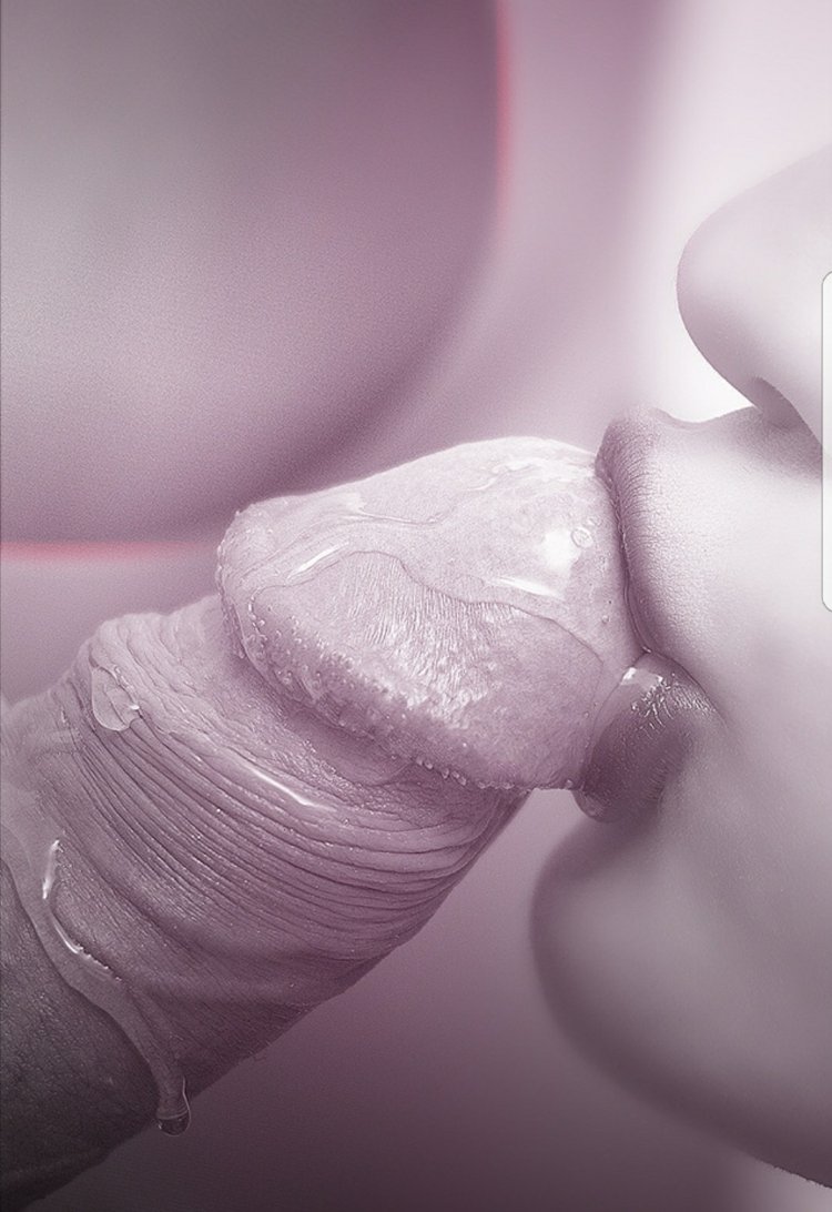 MINET beautiful black white